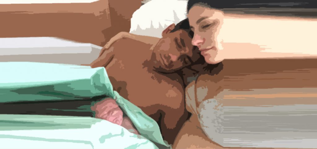 BLOG PORTADA 07 1 1024x483